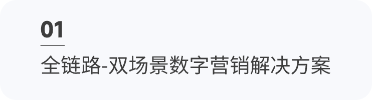 全链路-双场景数字营销解决方案